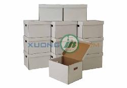 Thung Carton 110-